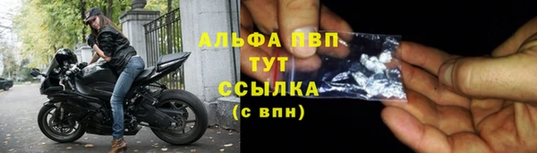 гашик Гусь-Хрустальный