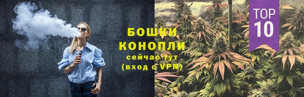 гашик Гусь-Хрустальный