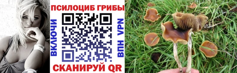 даркнет сайт  Дивногорск  Псилоцибиновые грибы мицелий 