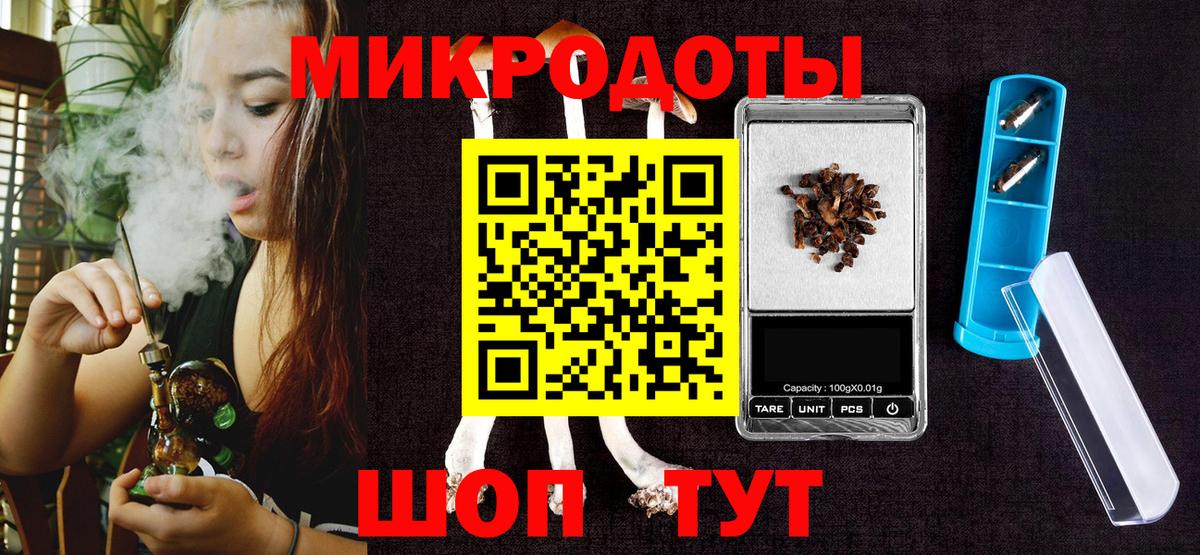Галлюциногенные грибы Psilocybe  Вход с VPN  Дивногорск 